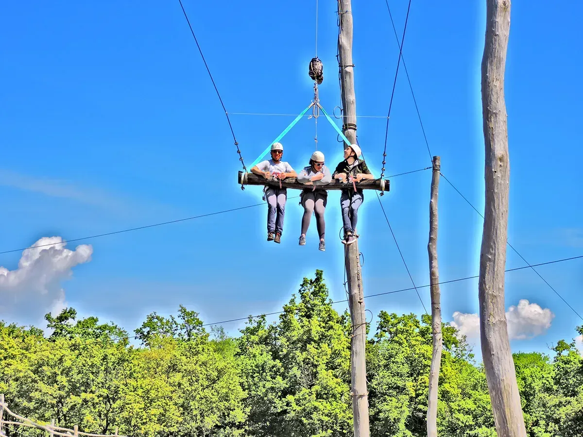 Guest swinging through the treetops on the high swing at Glavani Park, Istria