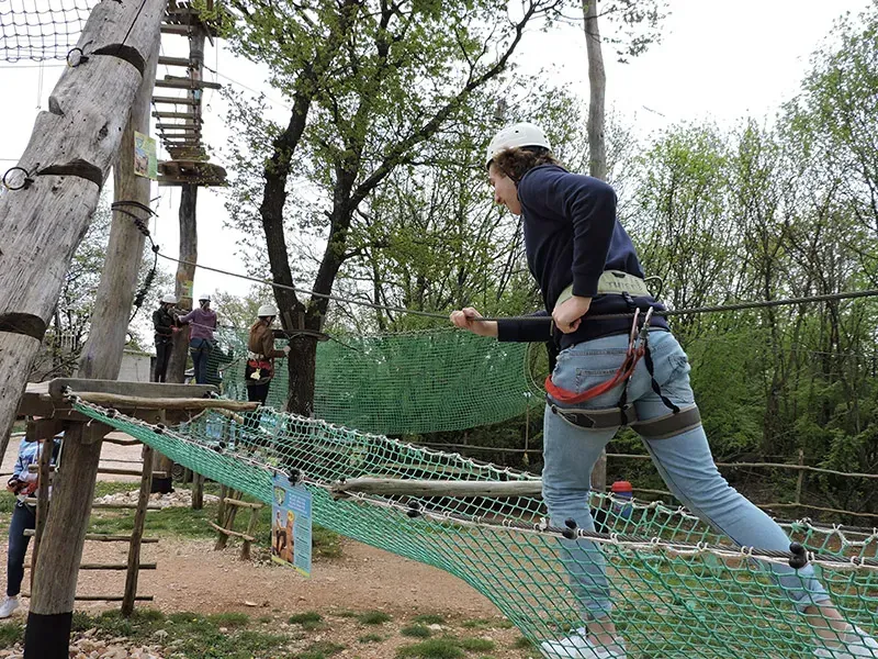 Pregled žute trening rute među hrastovima u Glavani Parku, Istria